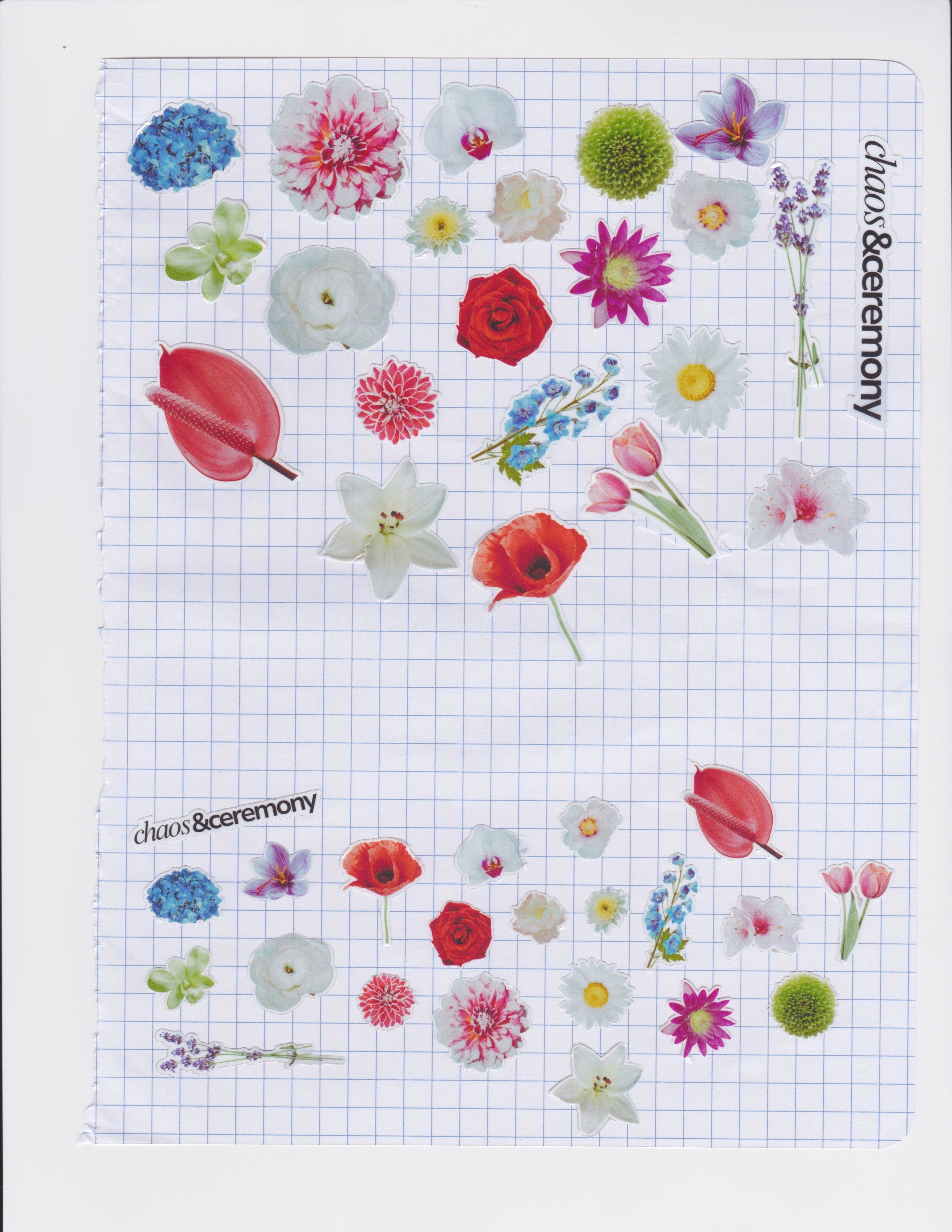 Botanical Studies