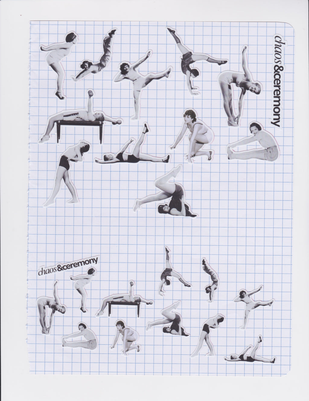 Noir Studies in Flexibility