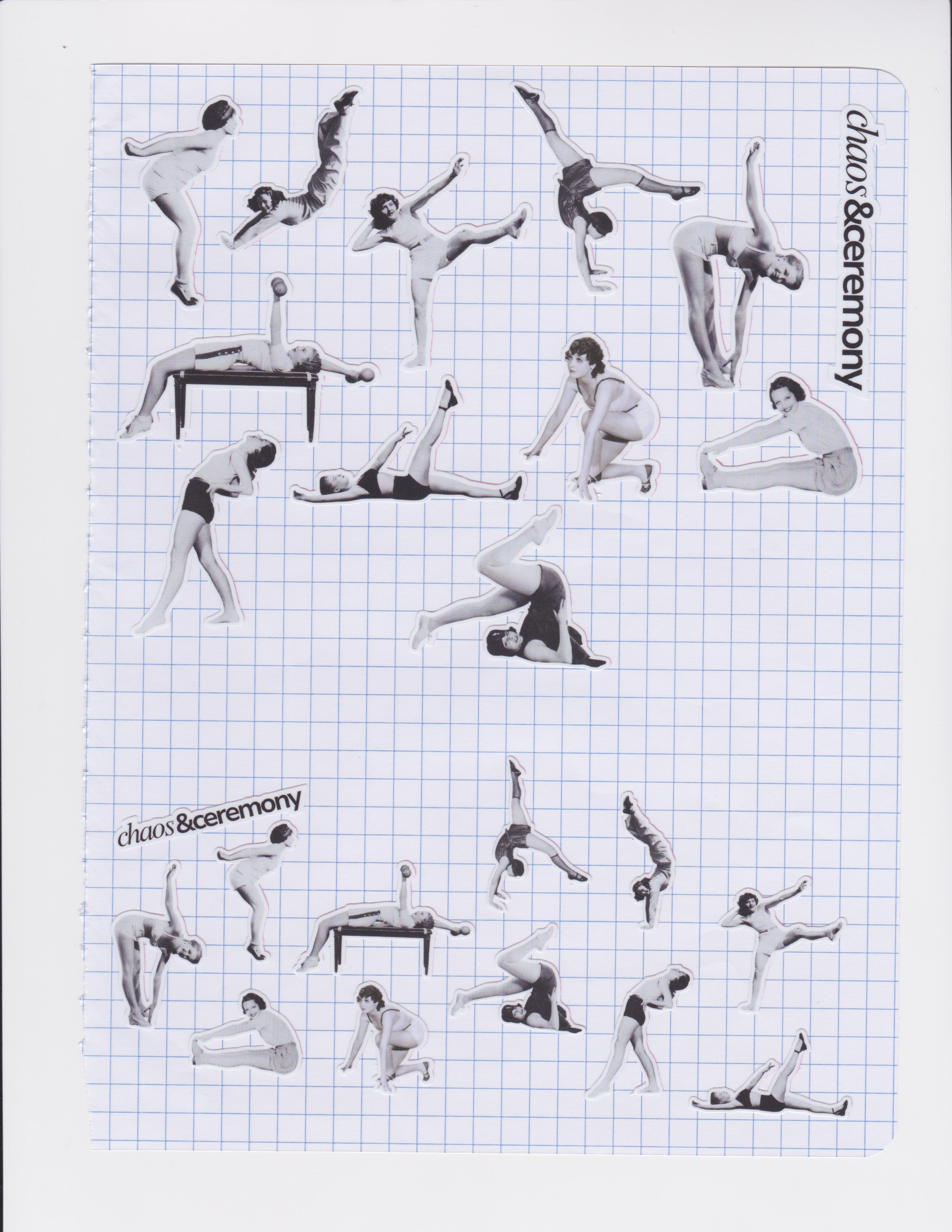 Noir Studies in Flexibility